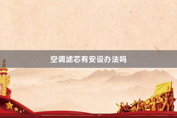 空调滤芯有安设办法吗