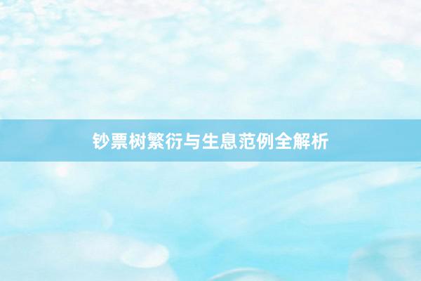 钞票树繁衍与生息范例全解析