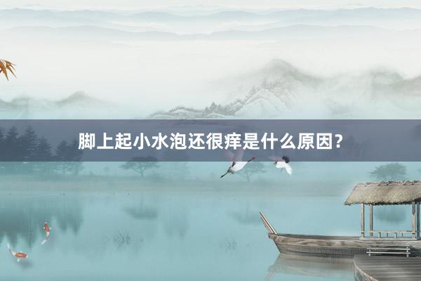 脚上起小水泡还很痒是什么原因？