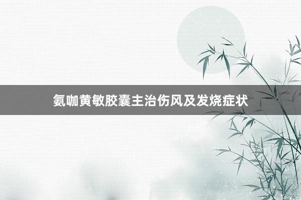 氨咖黄敏胶囊主治伤风及发烧症状