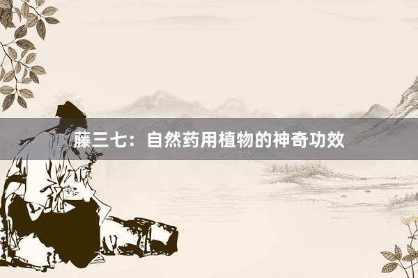 藤三七：自然药用植物的神奇功效